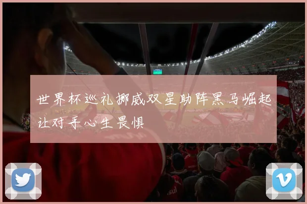 世界杯巡礼挪威双星助阵黑马崛起让对手心生畏惧